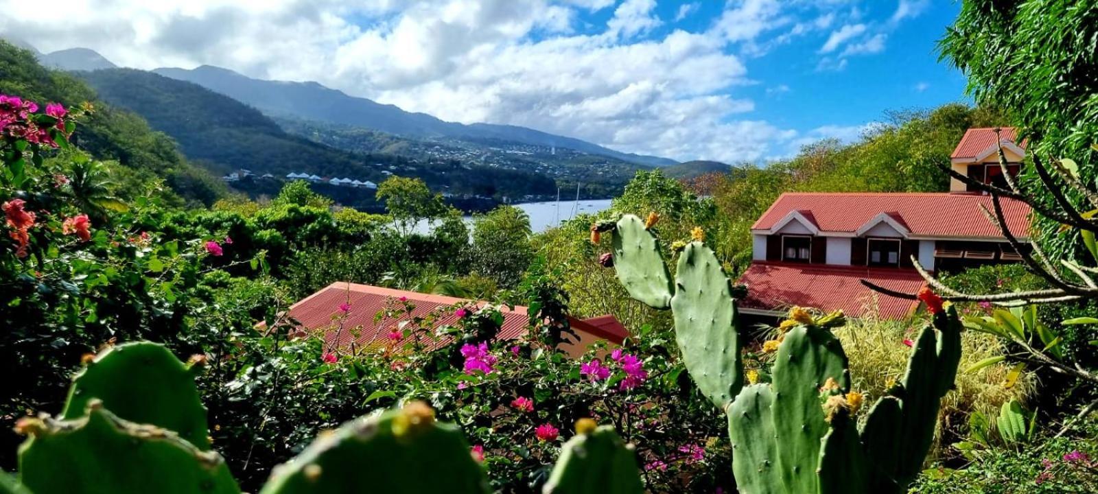 Bungalow et Duplex de Island Bay Bouillante Extérieur photo